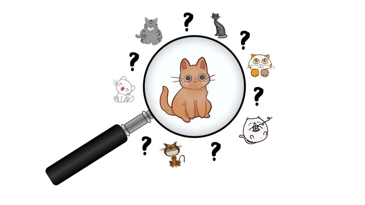 сможете ли вы найти всех котиков? коллаж автора.