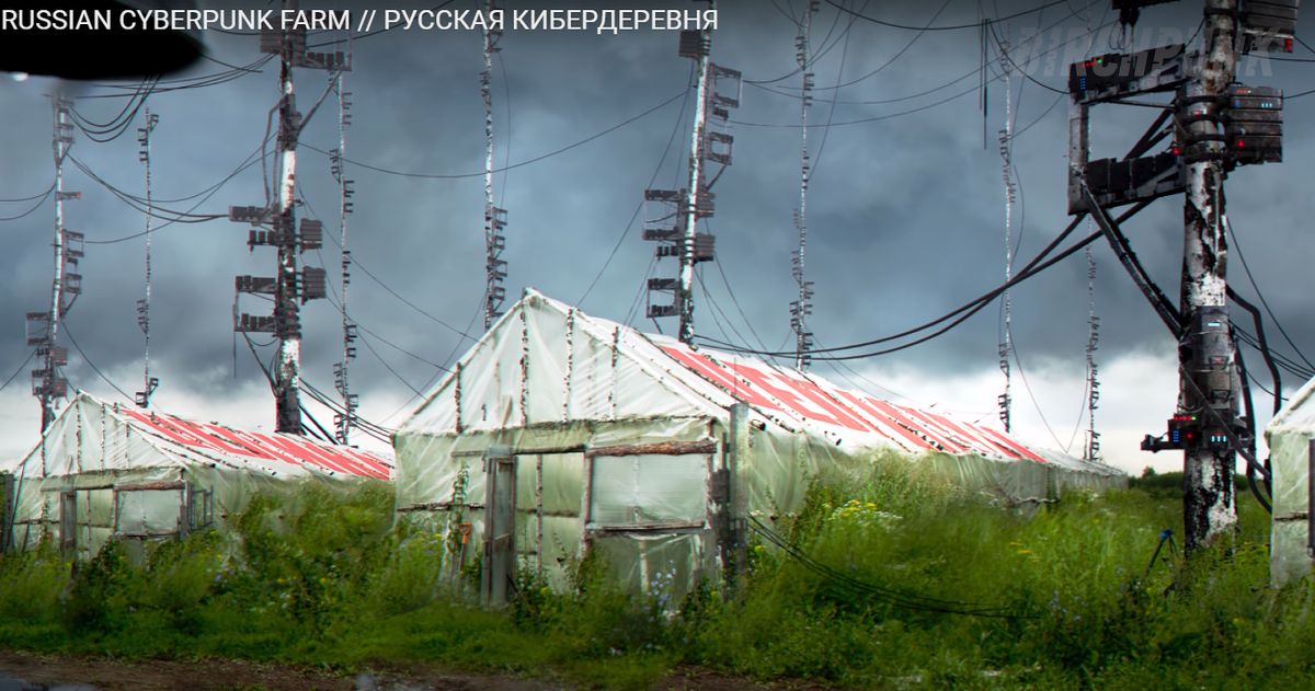 Russian cyberpunk farm русская кибердеревня. Сергей васильев режиссер кибер деревни. Фермер николай кибер деревня. Birchpunk русская кибердеревня. Кибердеревня.