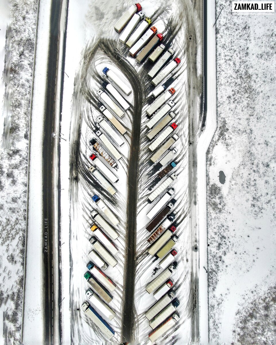 Фото:  zamkad_life 