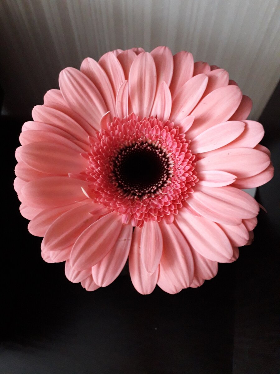 "-Доброе утро, мир! Ты прекрасен!" Фото автора