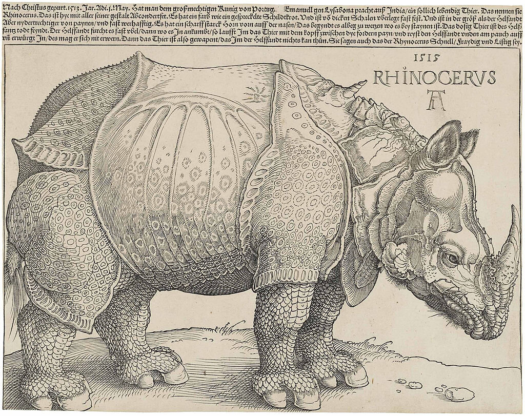 Альбрехт Дюрер Носорог. 1515. Rhinocerus. Дерево, ксилография. 21,4 × 29,8 см