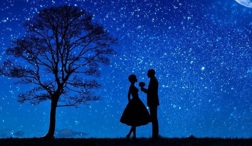 Фото отсюда:  pixabay.com