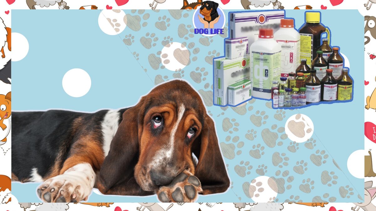 Подписывайтесь на канал, будет интересно!