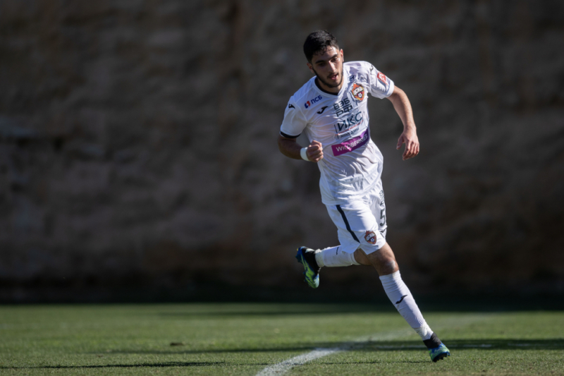 Тигран Аванесян