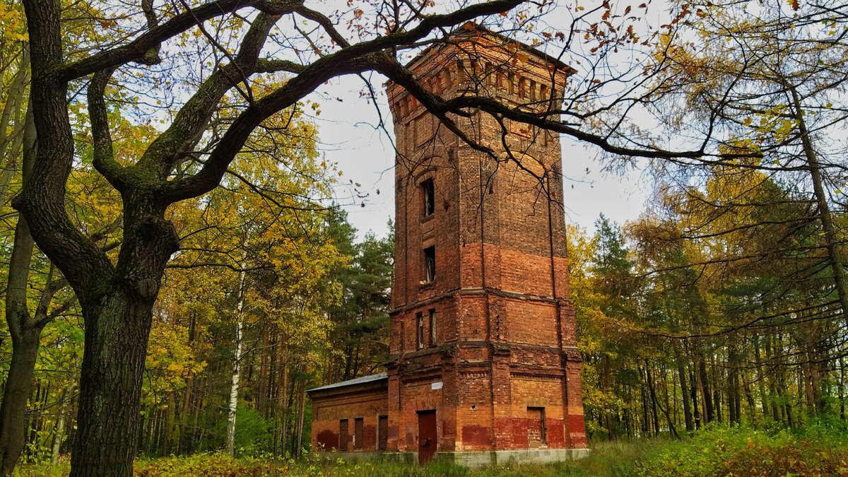 Башня Дитриха в парке ЛТА.