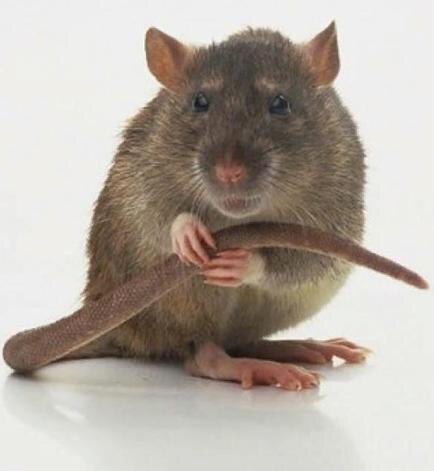 фото взято для иллюстрации статьи на Яндекс-картинки