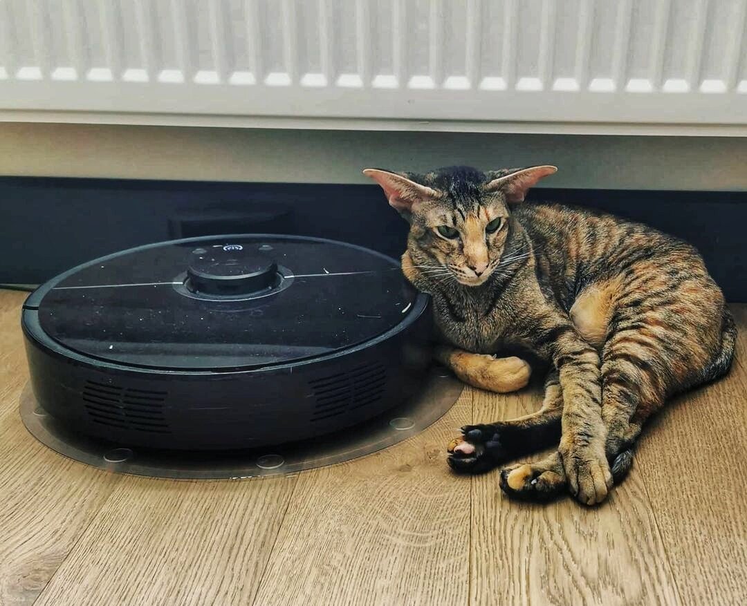 Похоже эти уже в ладу ..