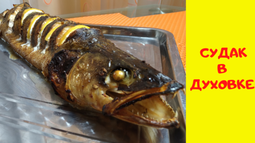 Рецепт рыбы судак в духовке