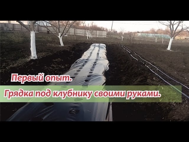 Грядки под клубнику своими руками. 