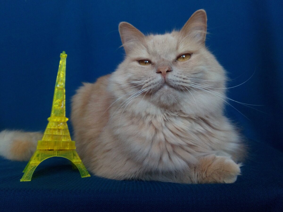 наш красавец Персик