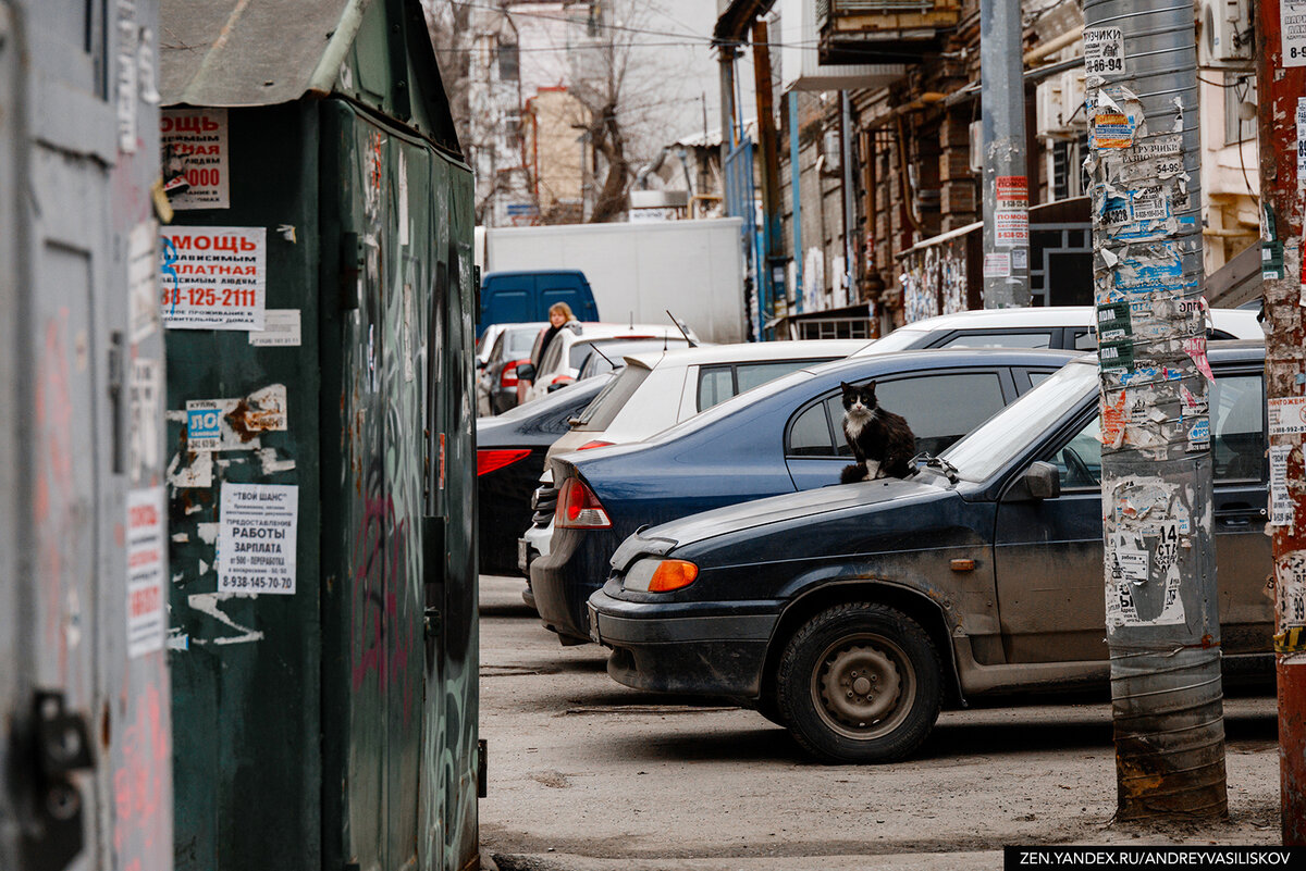 Ростов-на-Дону, в который я влюбился. За что я готов похвалить южную  столицу России? | Путешествия и всего по чуть-чуть | Дзен