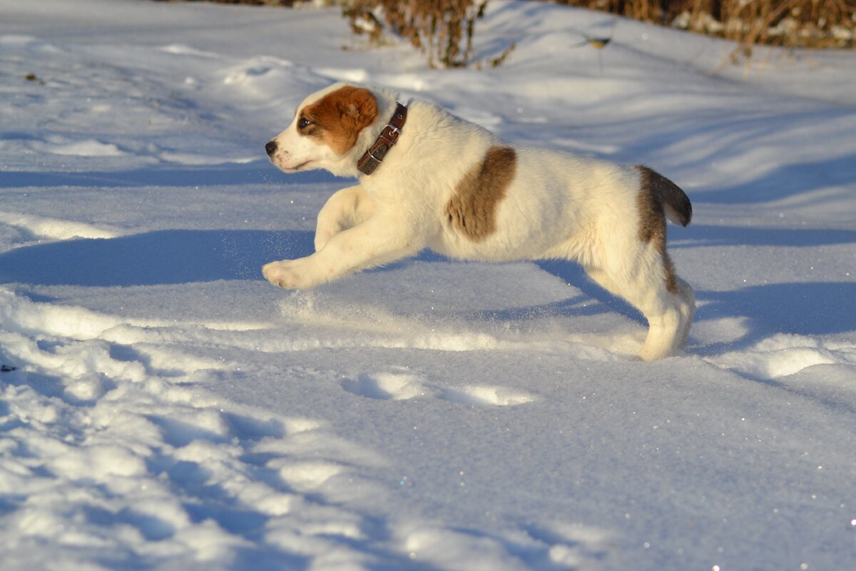 наш выпускник9фото из личного архива)