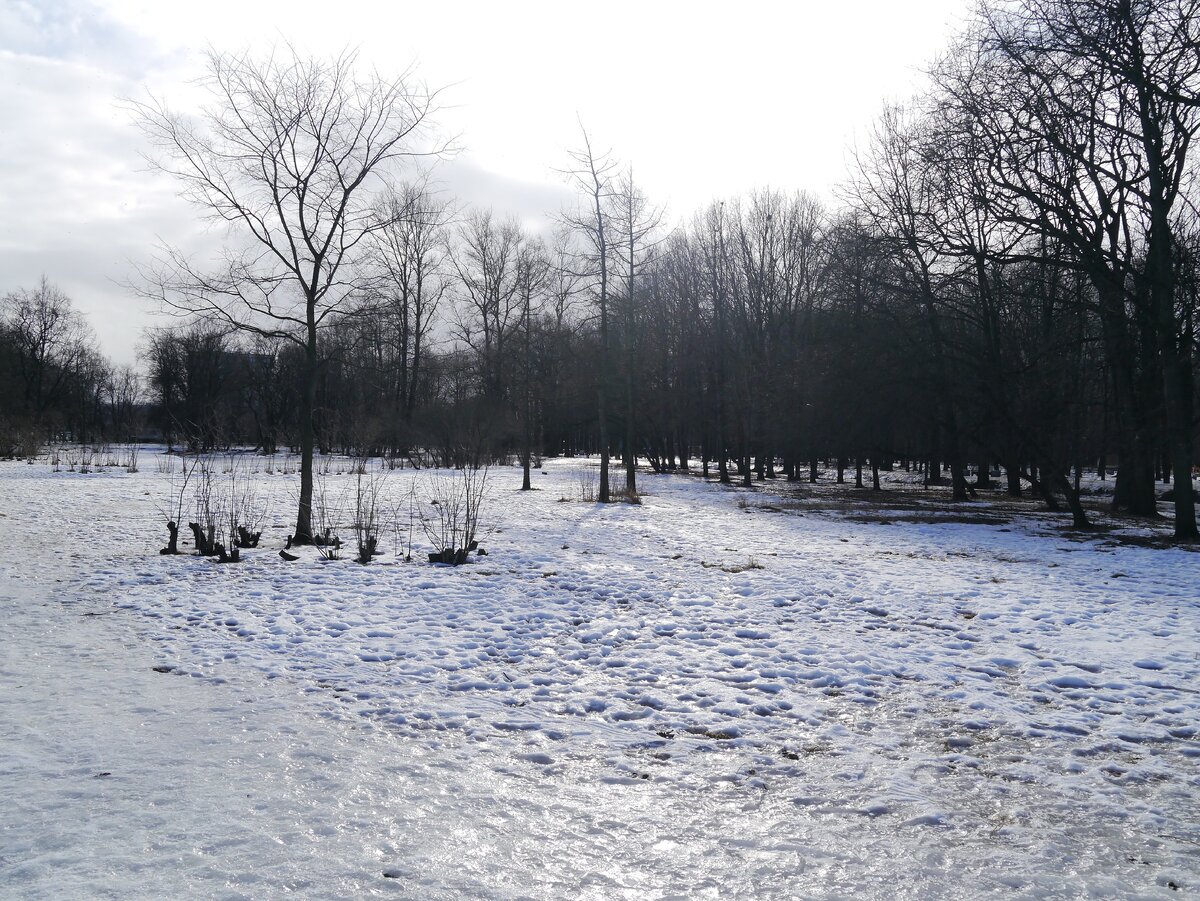 Парк «Новознаменка» Красносельский район Санкт-Петербург