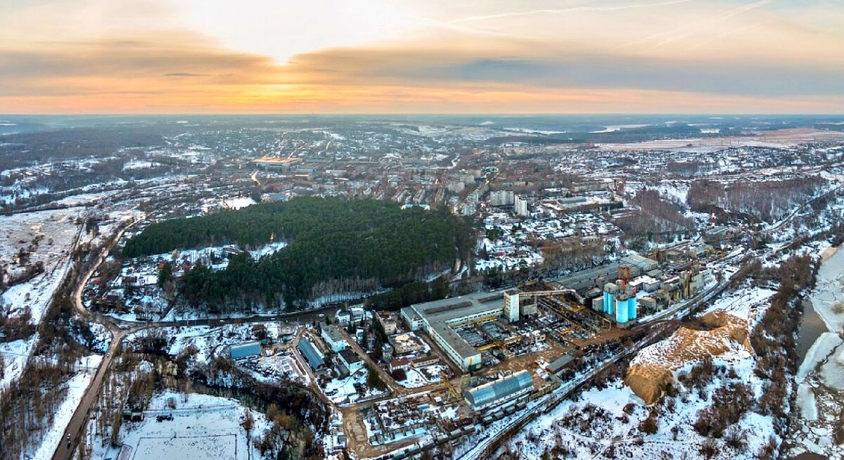 Сосновый бор Жалка на Горушках