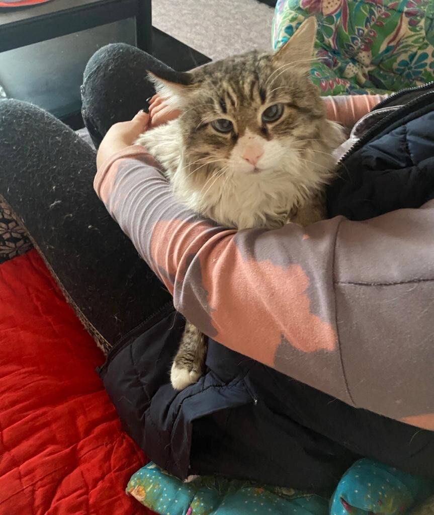 Как можете заметить, кот-то с изюминкой) Взгляд немножко косоват