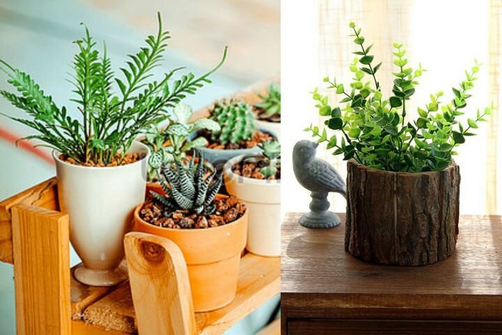 Необычные кашпо