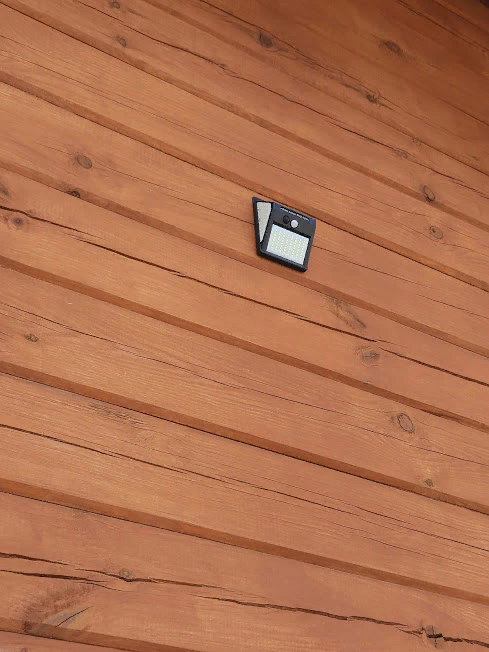 Личное фото автора.