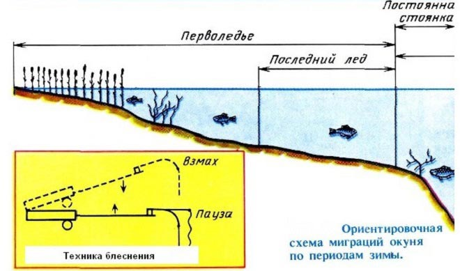 Виды зимних удочек