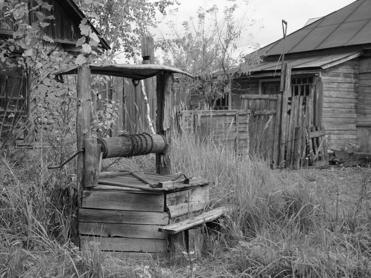 История нашей семьи.