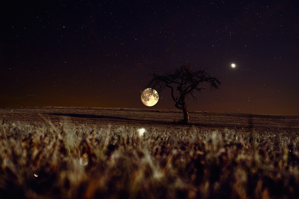 Слушать песню луна светила. Oleg Xaler. Фото Луны. Ночное поле. Фото ночь Луна.