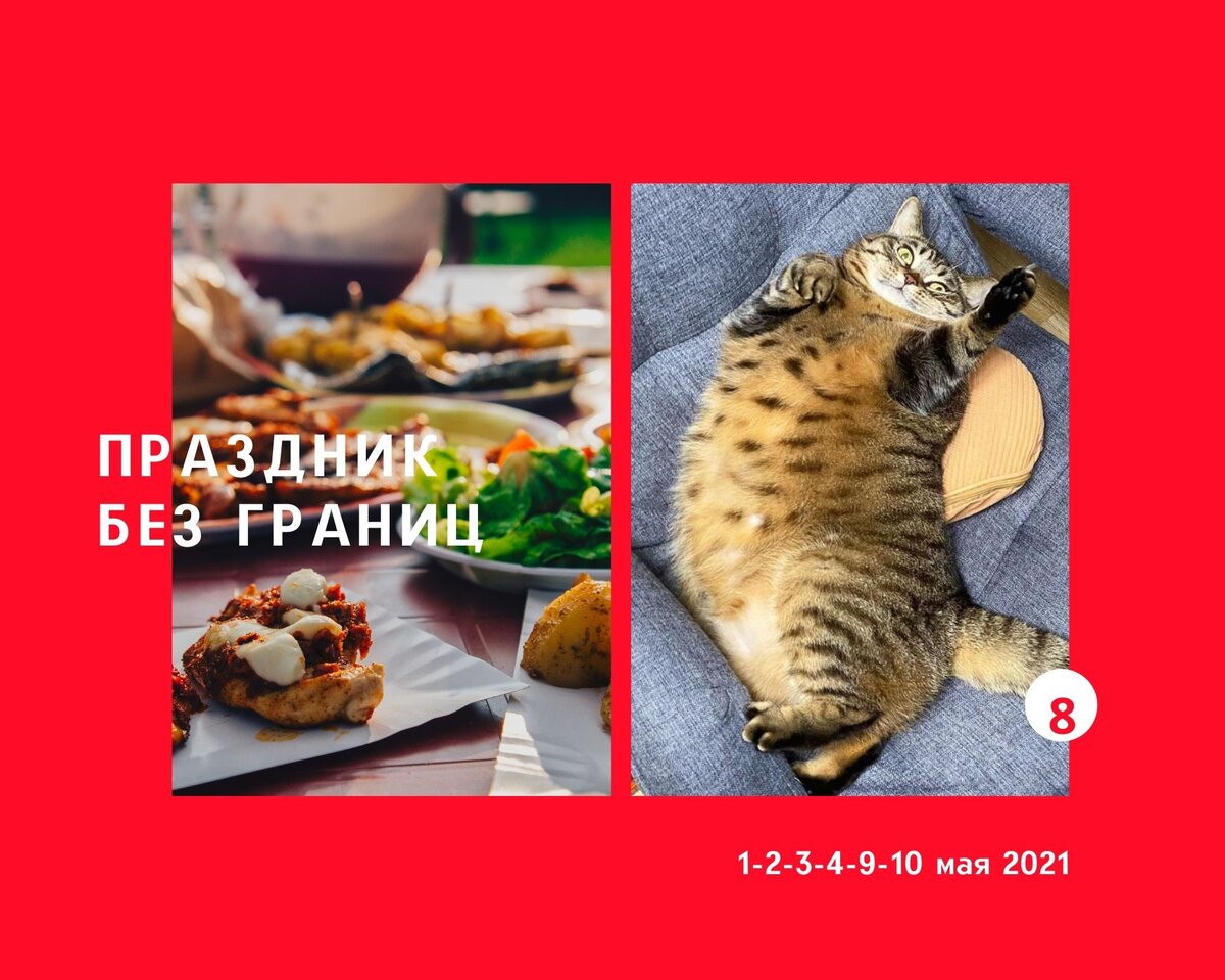 Котики милее двуногих обжор, ИМХО...