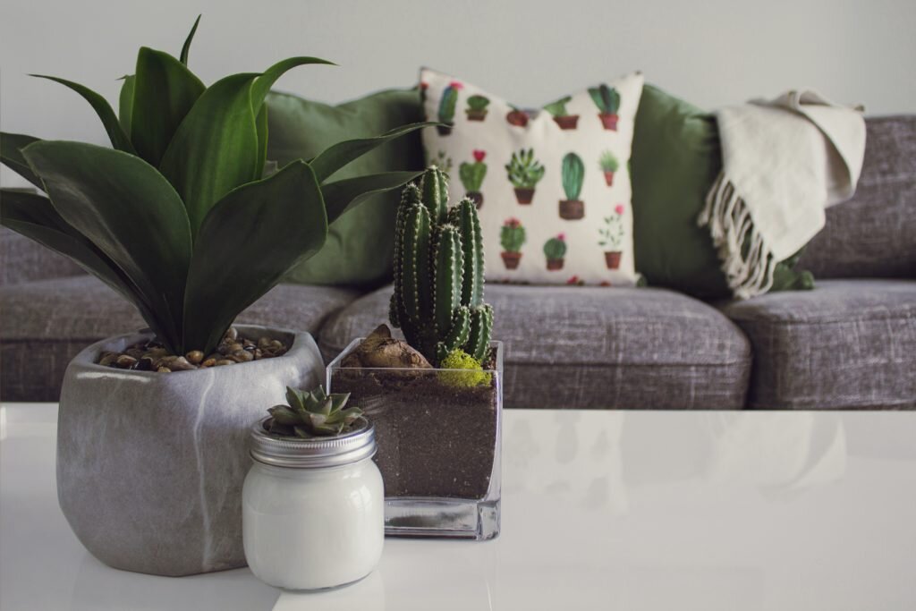 Фото Designecologist: Pexels
