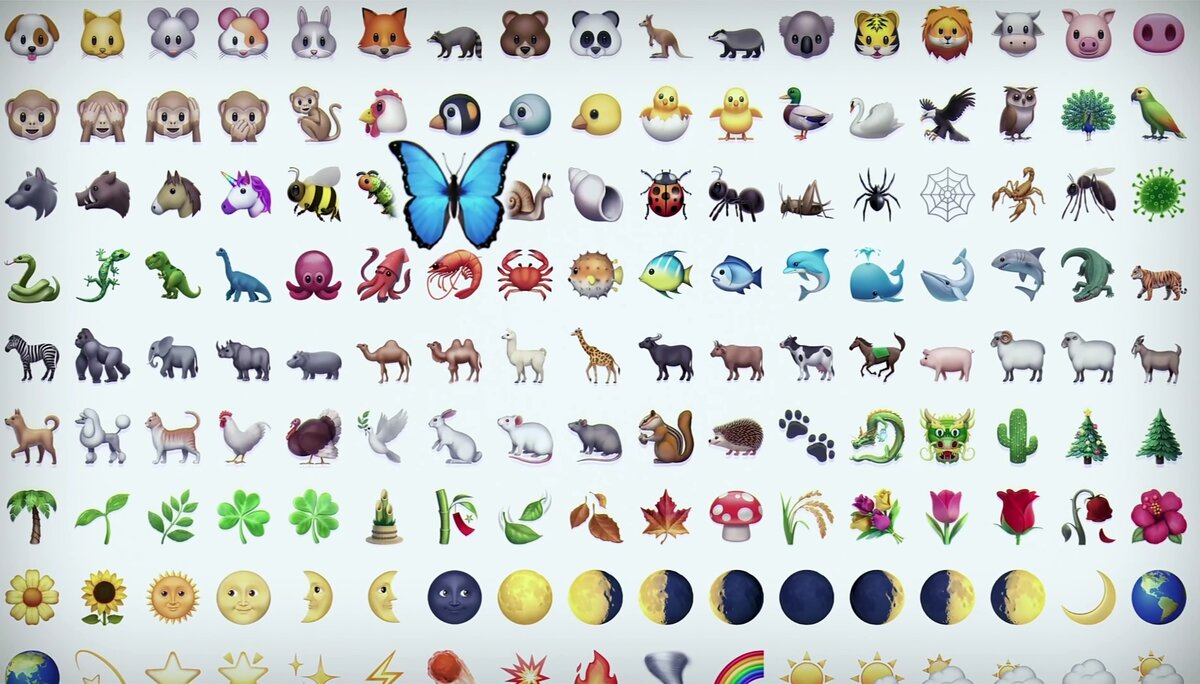 Именно с неё срисовали бабочку для эмодзи.