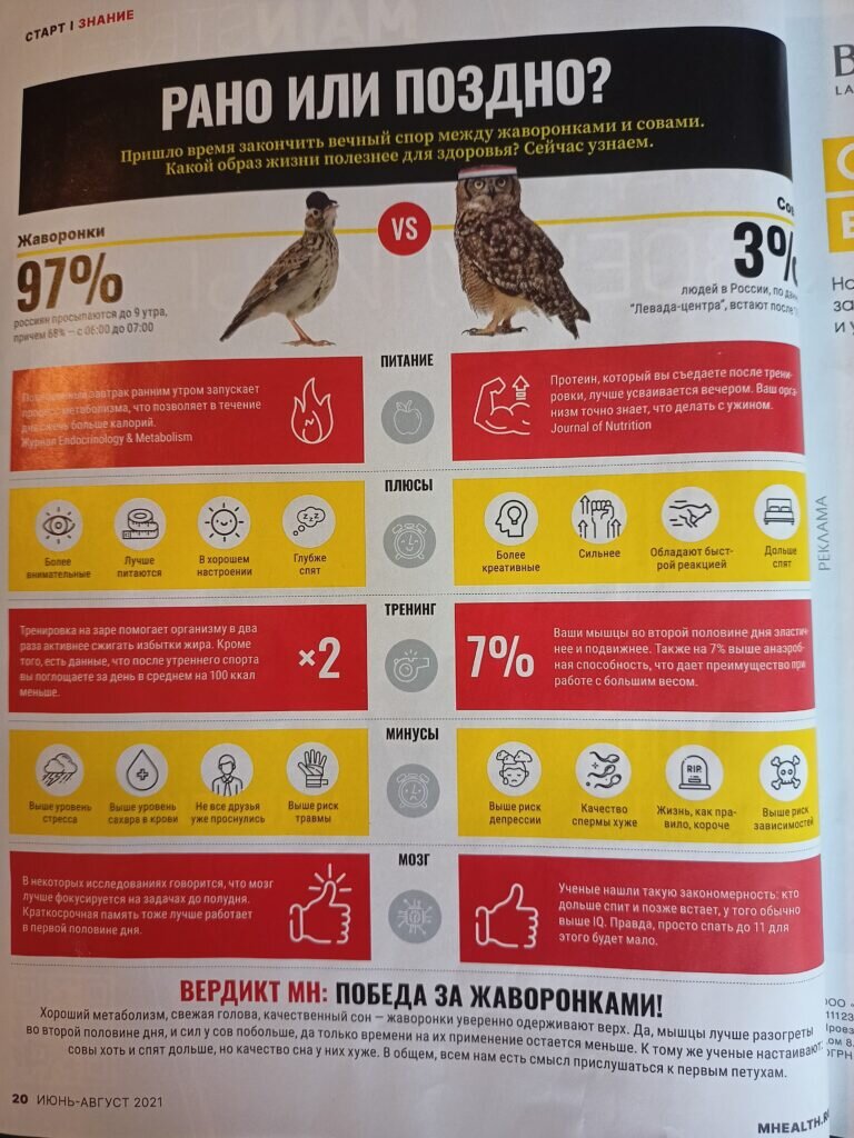 Кто круче, жаворонки или совы?