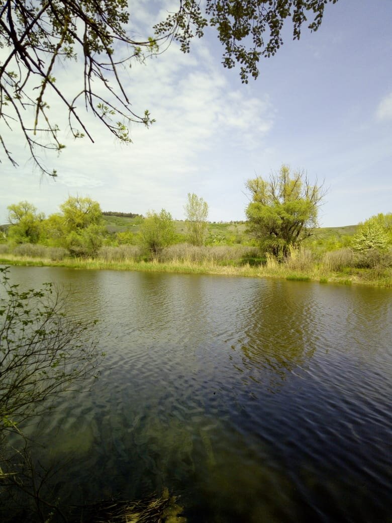 Село сухой донец