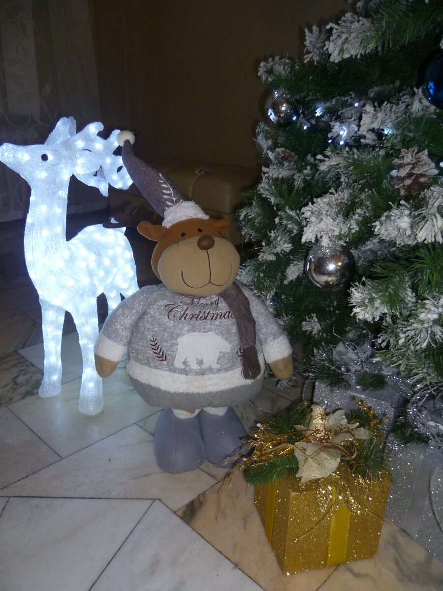 Белокуриха. Центросоюз. Январь.