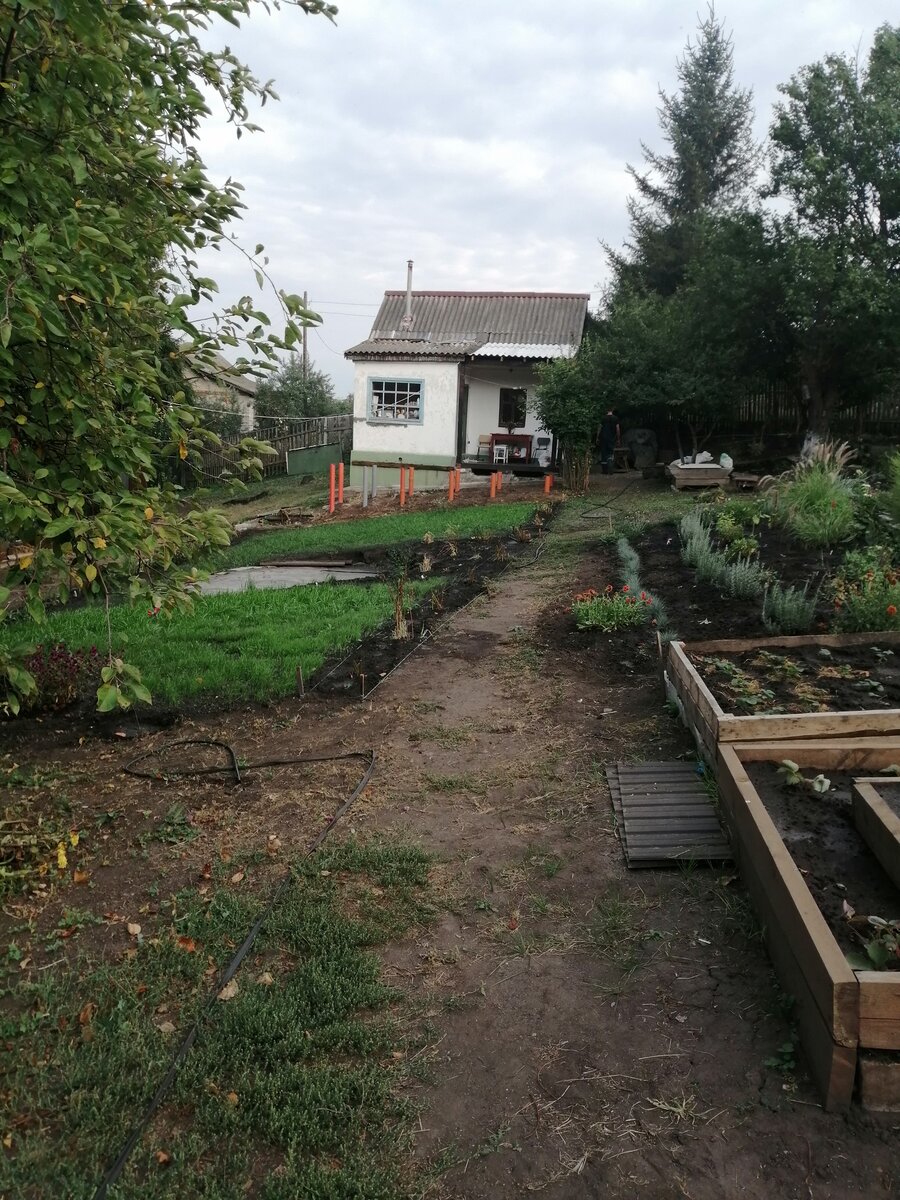 Фото автора. Вид на участок.