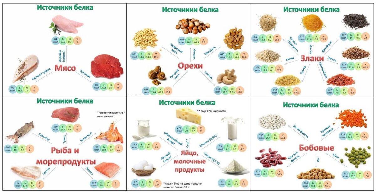 содержание белка в продуктах