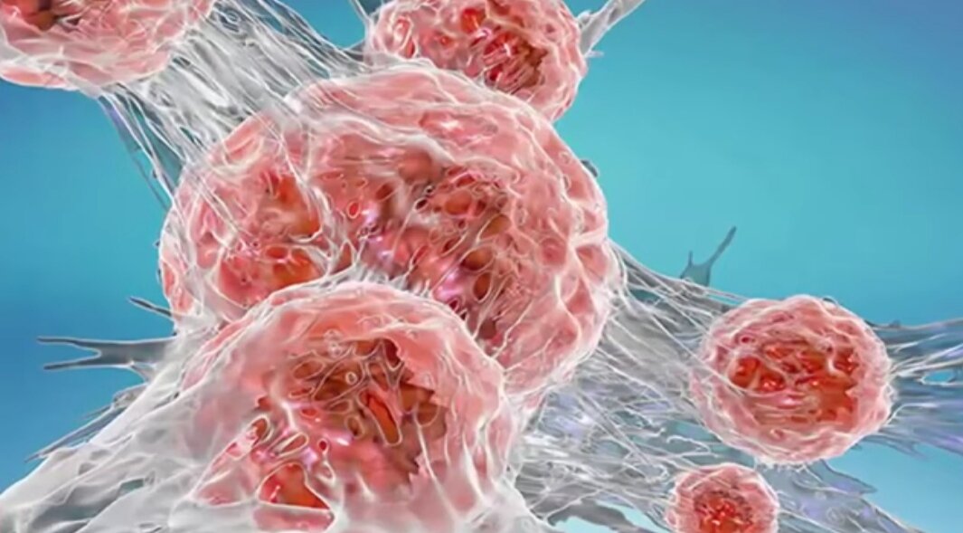 Продукты отхода метаболизма