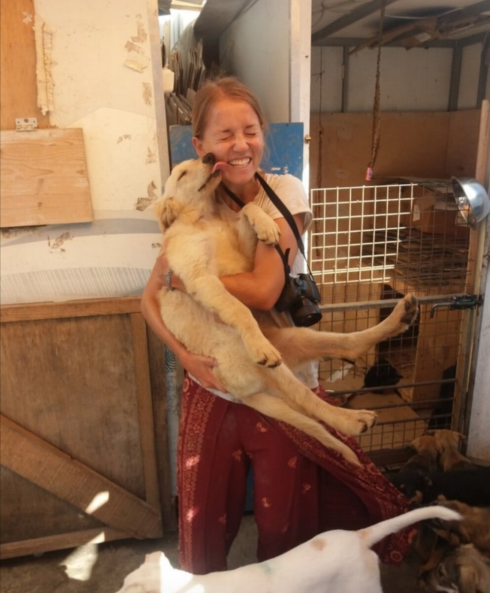 Щенок делает дыру в штанине:) 