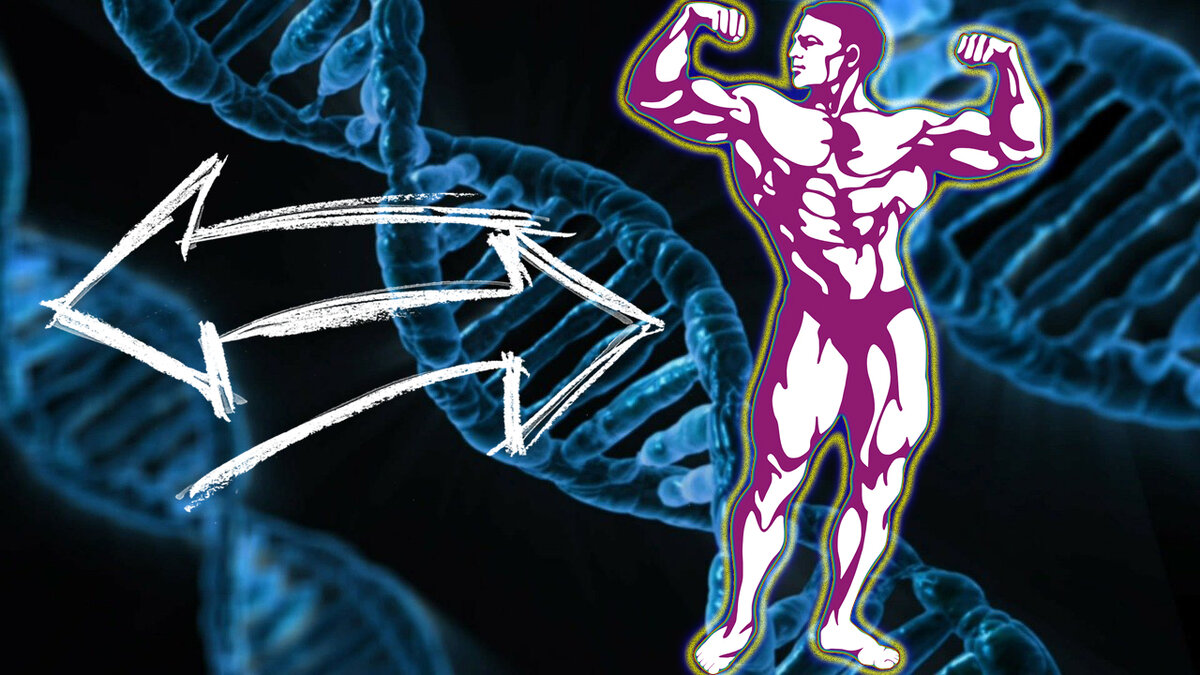 Источник: httpspixabay.com