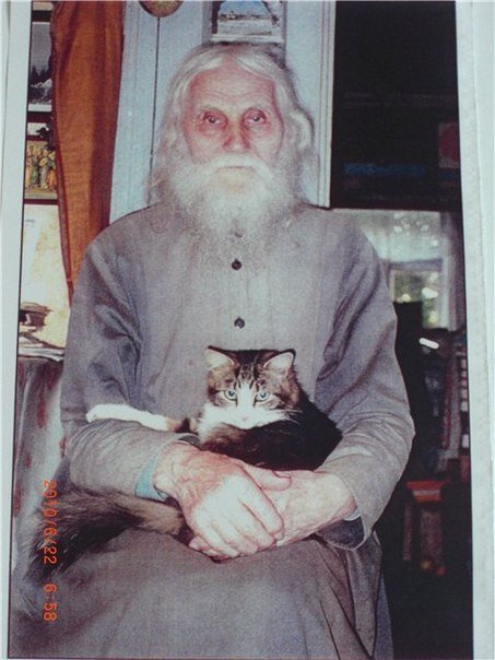 Николай гурьянов с кошкой фото