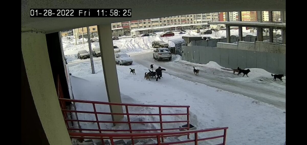 Те самые кадры с камеры видеонаблюдения нашего ЖК