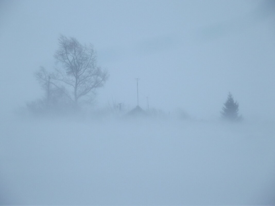 Фото с fotokto.ru для примера