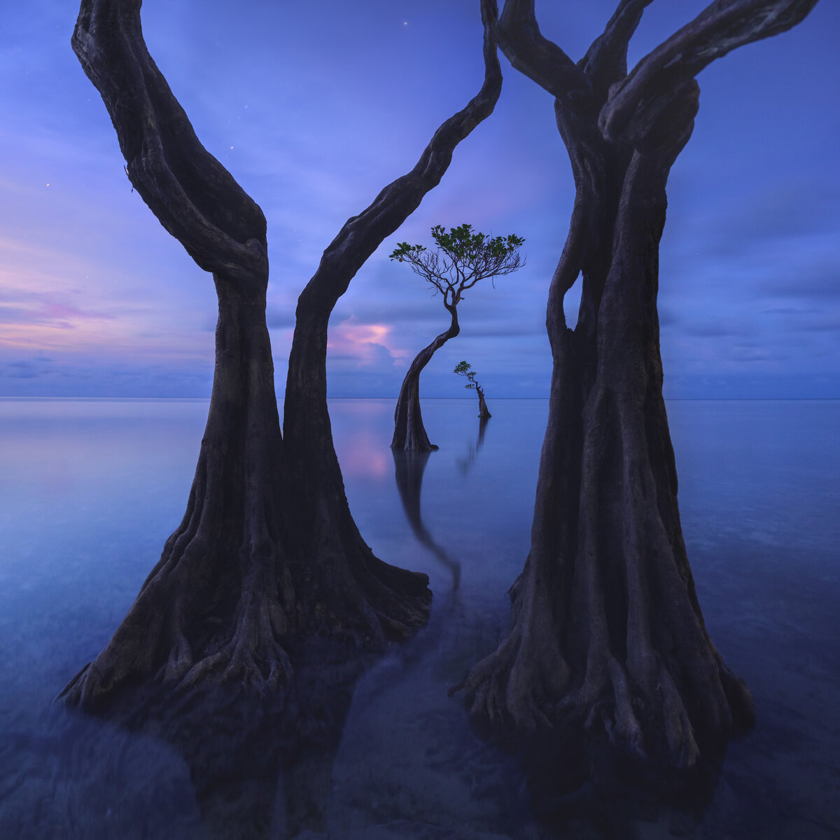 Даниил Коржонов — "Валакири"