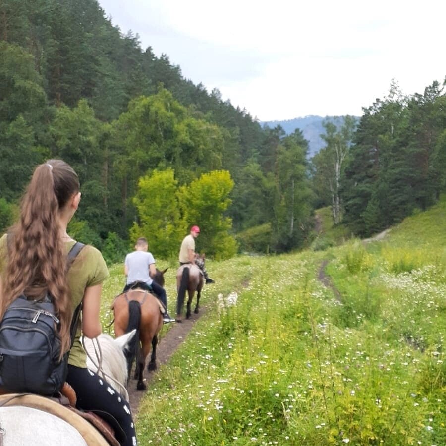 Лошадки нам попались очень хорошие! 