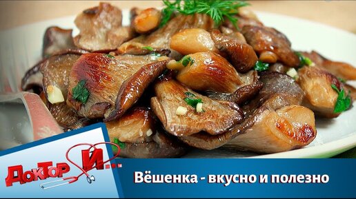 Вёшенка - вкусно и полезно. Доктор И