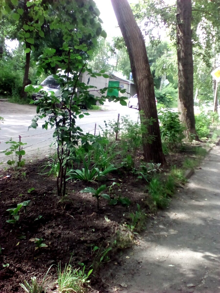 (Фото автора).