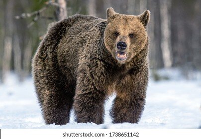 Изображение взято на сайте бесплатных фотографий Shutterstock.com