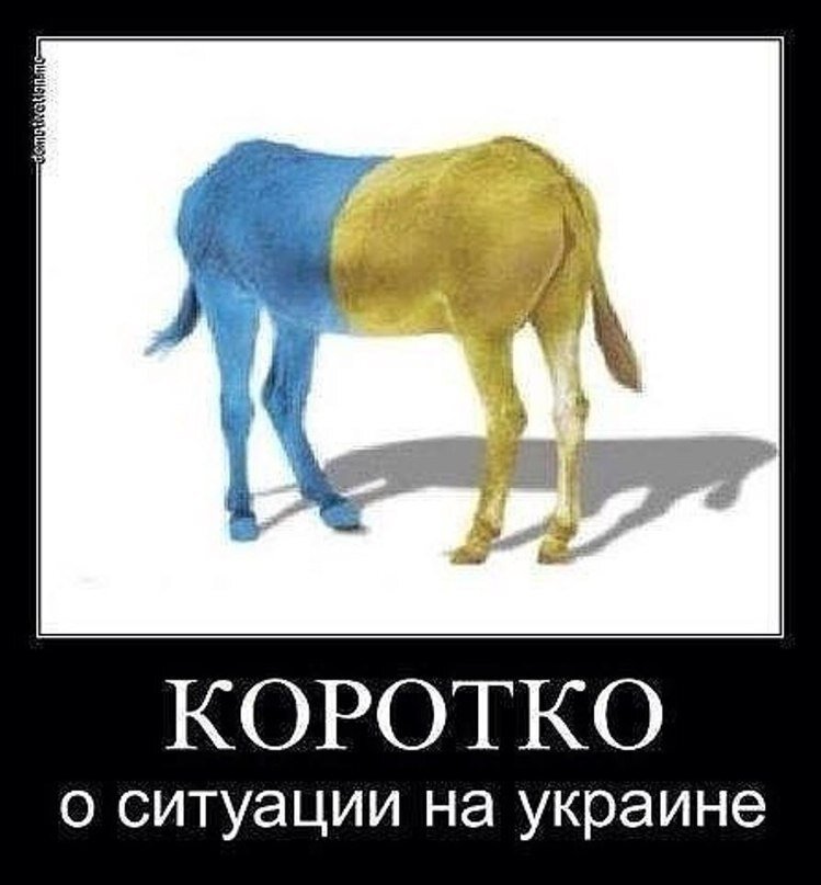 Вова и Лена Зеленские как зеркало украинского настоящего и будущего.