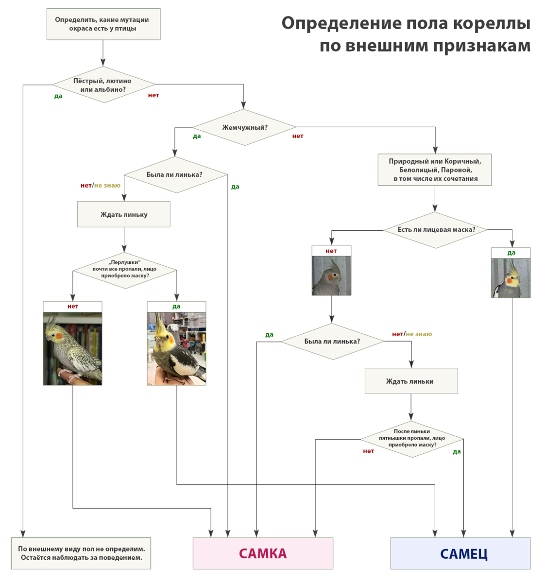 Схема от автора.