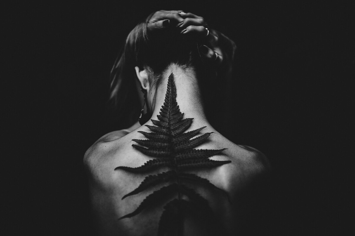 https://www.pexels.com/ru-ru/photo/573294/
