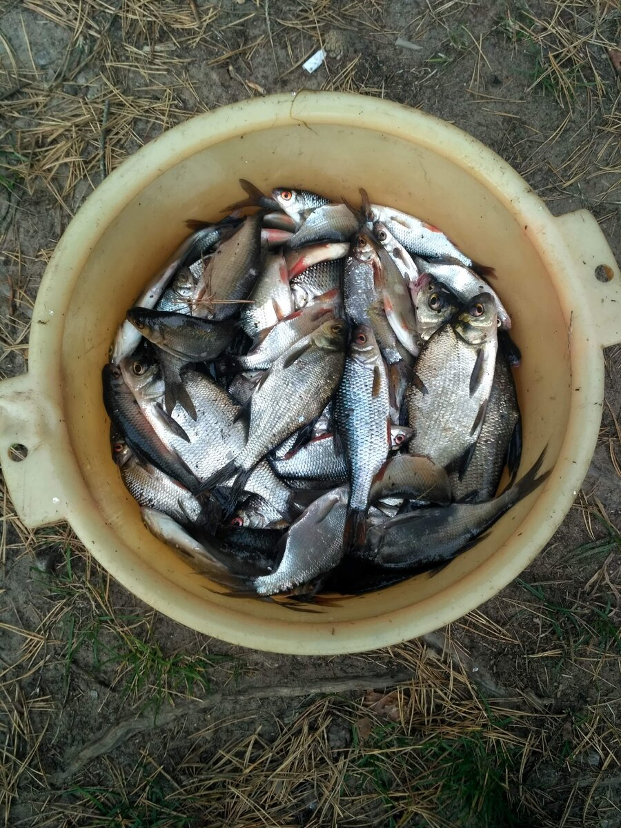 Изготовление резинки для ловли рыбы
