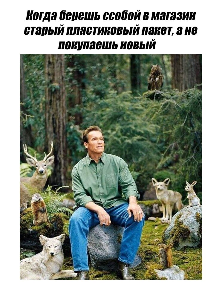 Источник: https://memepedia.ru/xranitel-prirody/