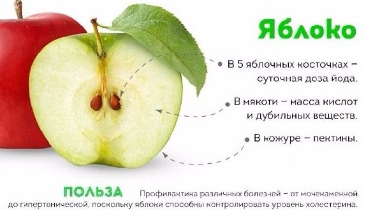 Польза яблок