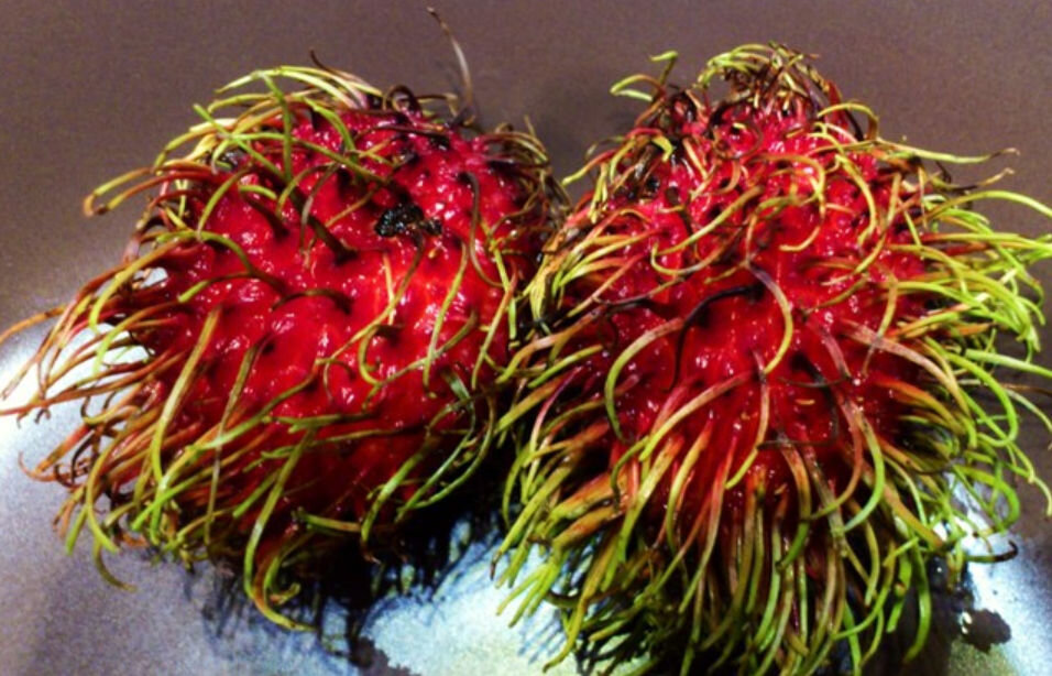 Яйцо дракона — волосатый фрукт Рамбутан из Юго-Восточной Азии | Тур на ...